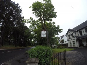 J&J B&B
