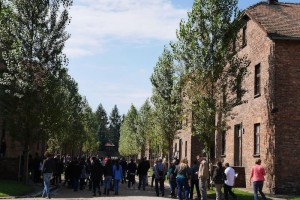 Auschwitz 1