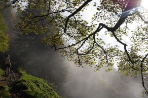 Rigi Mountain: The "Queen of the Mountains"