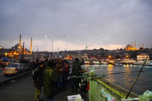 let's catch dinner. 