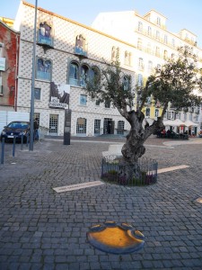 LIsbon. Elephant foot print.