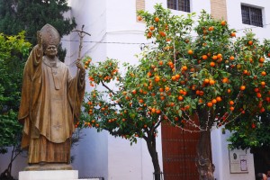 Oranges and the pope. 