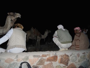 Mount Sinai Sunrise Camels