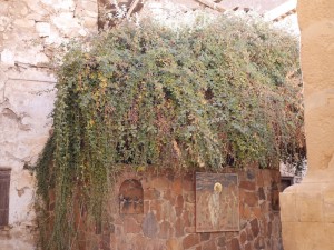 The Burning Bush. 