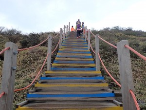 Steps. very safe to hike.