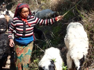 Annapurna Circuit