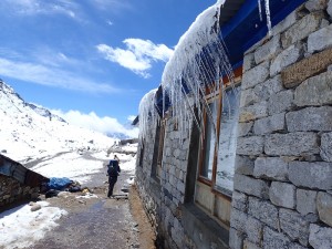 Staring our trek back from EBC. It was cold. 