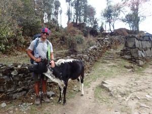 Javier and baby cow.