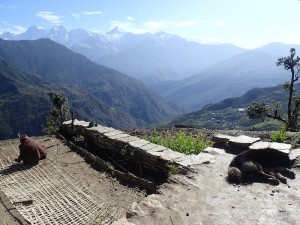 views from the trek. 
