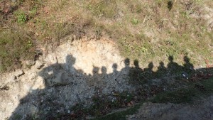 Silhouettes of the people on top of the bus. 