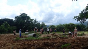 Planting grass