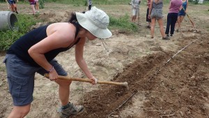 planting grass