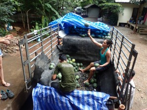 throwing the watermelons 