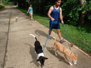Emily and Javier dog walking. 
