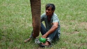 Mahout and trunk. my Favorite picture