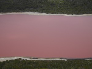 Lake Hillier, bubble gum color.