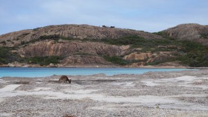 Lucky bay 