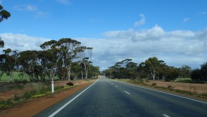 More of the road