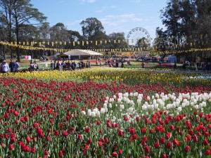 Floriade. Canberra