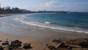 Manly Beach