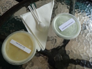 Biodynamic Ice cream