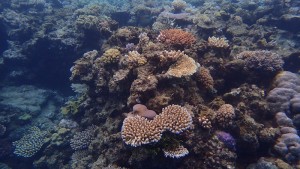 Great Barrier Reef