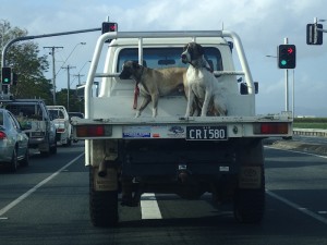 Bye Australia