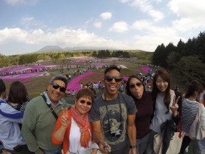 Fuji Shibazakura Festival