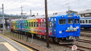 Trai to the Fuji Shibazakura Festival