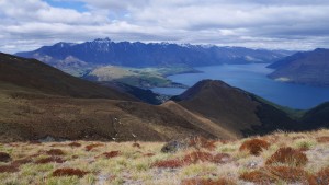 Ben Lomond trail