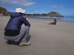 Wharariki Beach, Farewell Spit