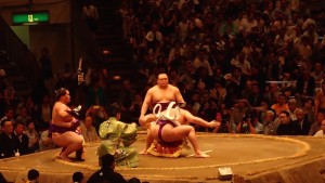 Sumo... Yoisho!!!
