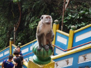 Batu caves. Kuala Lumpur, Malaysia