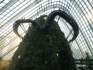 Cloud Forest. Gardens by the bay, Singapore