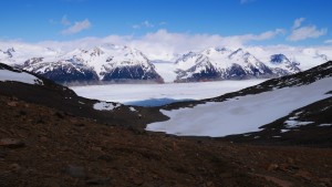 Wow, The Grey glacier