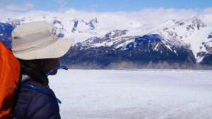 Gray glacier. 