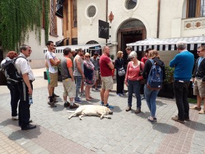 The dog followed us. Santiago, Chile. 
