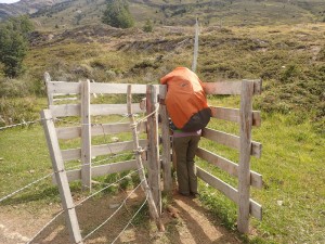 Stuck. Patagonia. Torres del Paine National Park. 