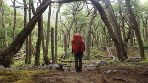 HIKING TO LOS PERROS. Patagonia. Torres del Paine National Park. 