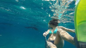 Swimming with Manta Rays