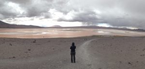 Laguna Colorada, Bolivia. 