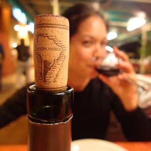 Malbec. Mendoza, Argentina. 