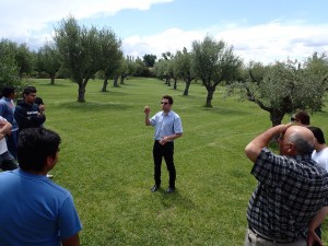 Trapiche, Mendoza.